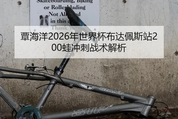 覃海洋2026年世界杯布达佩斯站200蛙冲刺战术解析